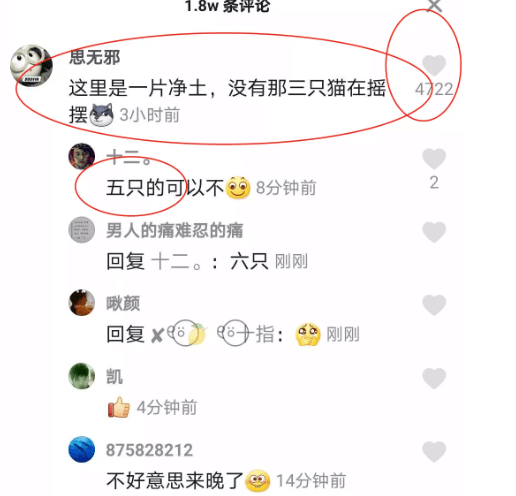 生财有术分享避坑：利用人性赚钱（九）抖音爆火的五只小猫，让我无意间成了卑微流量